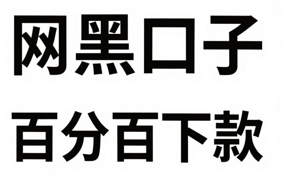 网黑口子百分百下款500的，理出5个无视黑户包下款的口子