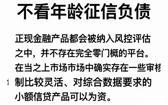 小六分期下款了，陈列5个不看年龄征信负债的平台