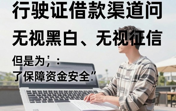 行驶证借款口子9月，详尽说明5个无视黑白无视征信申请就下款的口子