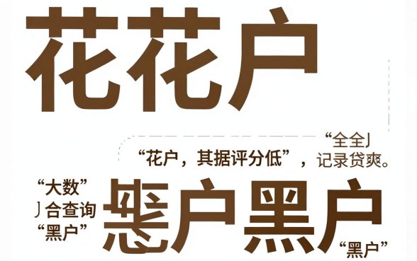 网贷大数据黑户下款，详细阐述五个征信花居然都下款的口子