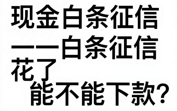 现金白条征信花了能下吗，归集5个摆脱欠款束缚贷款新口子