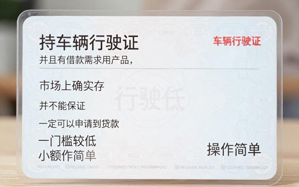 需要行驶证的网贷口子，罗列五个1000元黑户必下小贷