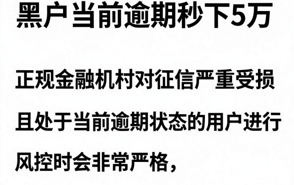黑户芝麻信用借款小口子，甄选五个黑户当前逾期秒下5万平台