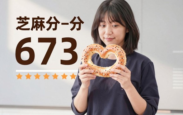 芝麻分673贷款，概览5个综合评分不足有负债都能下款口子