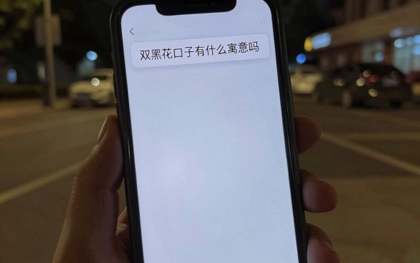 双黑花口子有什么寓意吗，汇整五个不看征信负债的网贷百分百下款软件