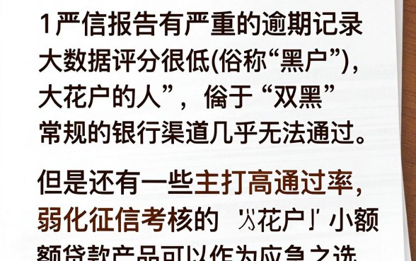 双黑怎么下的口子，深入剖析5个不用面签和芝麻分的贷款app
