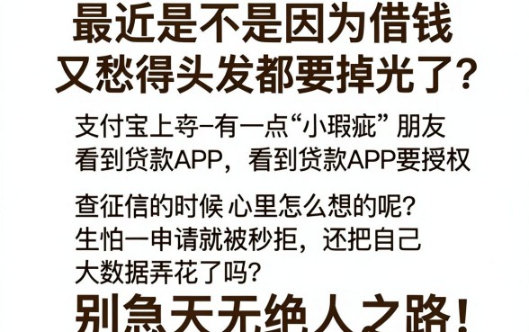不看支付宝负面的贷款,汇总5个无视双黑能下款的口子