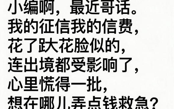 征信花了会影响出境吗，遴选五个征信不好负债高的口子
