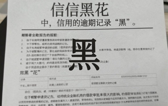征信怎么才是黑花了呢图片，详细阐述五个看银行流水的网贷app