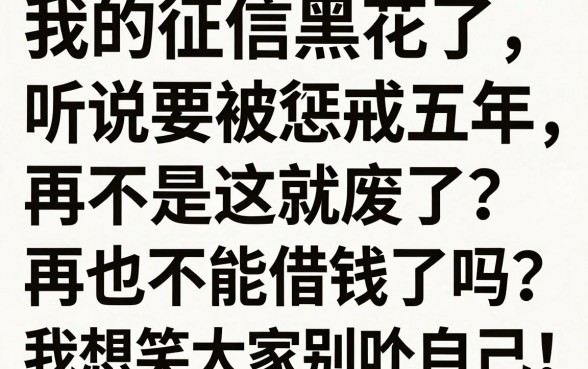 征信黑花了会被5年惩戒吗，规整五个黑户可以下的贷款口子