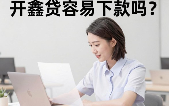 开鑫贷容易下款吗，遴选五个苏州黑户贷款5万的口子