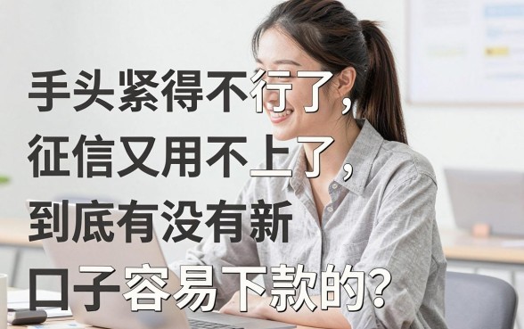 有没新口子容易下款的，概括5个18岁必下款的网贷平台