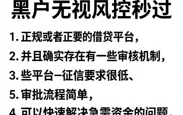 黑户无视风控高炮口子秒过，条列5个轻松借款无压力app
