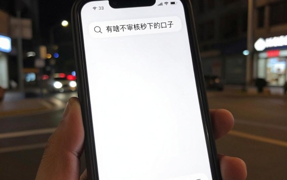 有啥不审核秒下的口子，筛选五个无视黑白好下款的软件