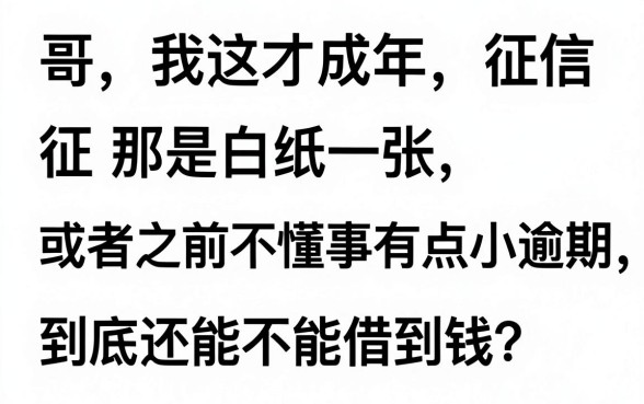 有没有18岁贷款口子的平台,归纳五个真正无视风控黑白的网贷app