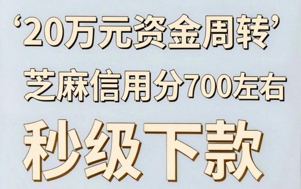 哪种贷款可以借到20万，理出五个芝麻分700能秒下的app
