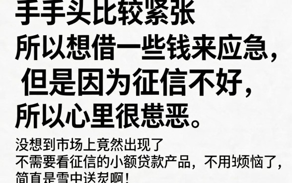 不看征信必下款！这5个小额贷款口子高效又省心，急用钱速看！