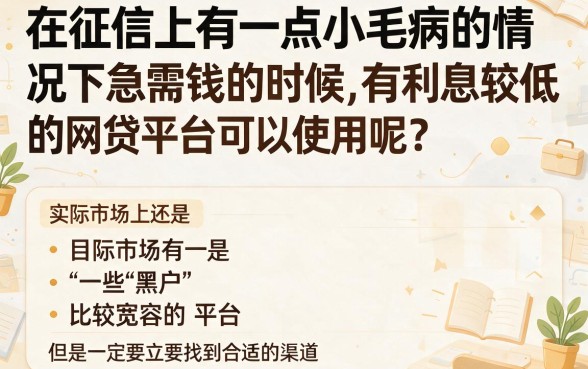 利息最低的5个黑户贷款网贷平台，10000元申请模板拆解
