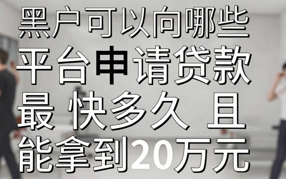 黑户急需20万，什么平台借钱最快放款？2026年这5个必看！