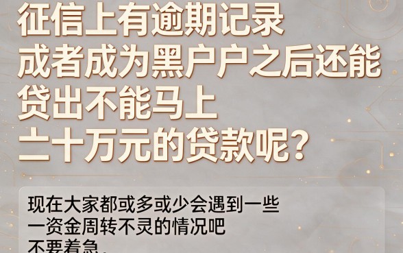 征信有逾期黑户贷款能秒下20万吗？这5个借钱口子秒批2000元起！