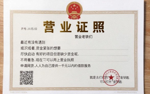 有营业执照必下1000?实测这5个口子,人人3000随便拿!