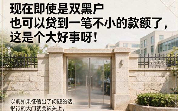 双黑户也能办大额贷款？这几家私人放款口子，1000元秒到账，贴心又实用！