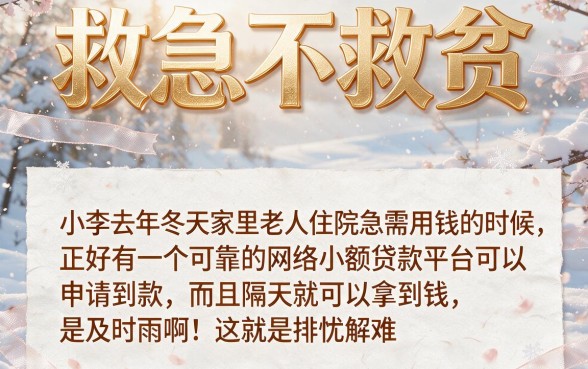 网络小额贷款平台的风控机制有哪些？5项核心要点一次讲透！