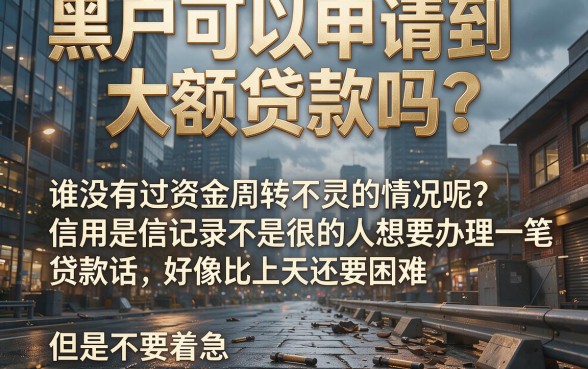 适合黑户黑户哪儿能给包下大额贷款？这5个渠道让你秒借3000