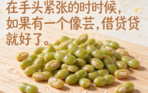 2026年必撸！5个类似芸豆一样的借款口子，额度三万优选平台速批中
