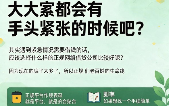 2026高通过率通道：哪个正规网贷好借钱？这五个稳下款的软件实测靠谱