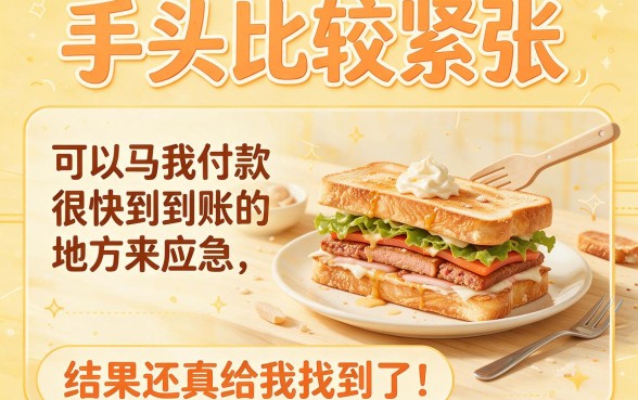 急用钱速看！能秒下款到账的新口子限时开放，这5个平台借款1000元马上放款