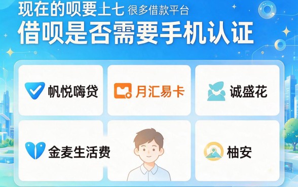 2026严选：哪个借款平台不要手机验证？这5个10000元借款口子不查就来！