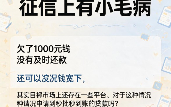 征信有逾期也能秒下1000元？这5个秒批到账的网贷很合心意，顺便盘点不查征信、5000元逾期要求低的口子