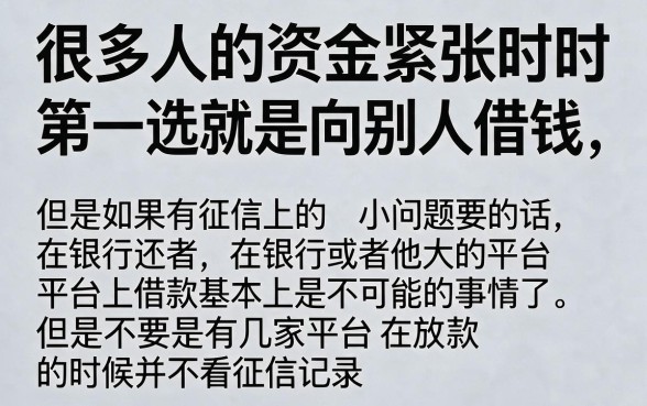 2026年严选盘点：哪些平台借钱不查征信记录？附5个芝麻贷款审核要24小时吗实测