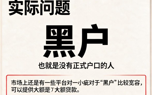 适合黑户2026这5个能下的大额贷平台，新用户秒批到账