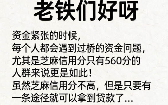 560芝麻分也能贷款？2026年这5个828口子平台太让人震惊了！