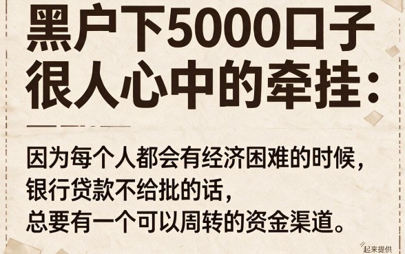 适合黑户2026年这5个黑户下5000口子临时可调度，黑户下3000也能秒过