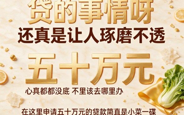 秒批到账！2026年从哪里可以贷款50万呢？这5个24小时放款渠道速看