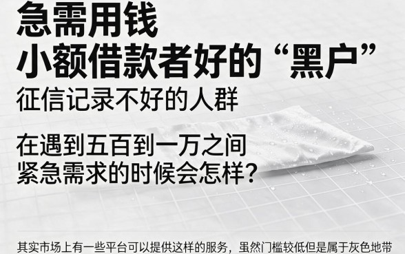 适合黑户这5个借五百一千的网贷口子2026年要求不高还藏不住