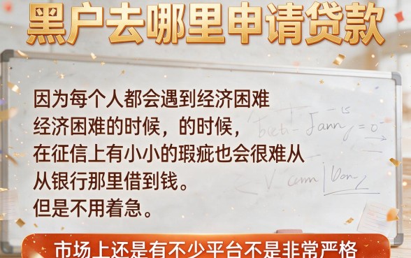 黑户什么机构可以放贷款？这5个渠道值得一试！