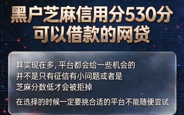 适合黑户芝麻信用分530也能借的网贷盘点，这5个软件最高可下4000