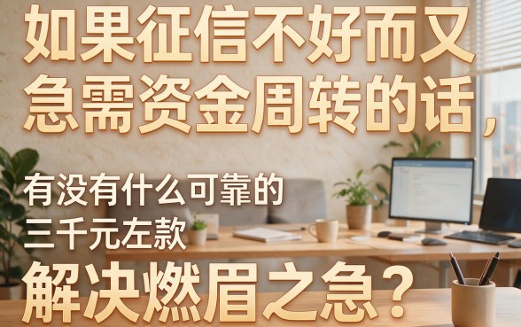 高炮黑户下款3000必看！2026这5个渠道火速到账，本篇深度盘点