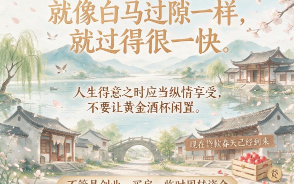 60岁急用钱也能借！这5个不看征信的小额网贷平台速看