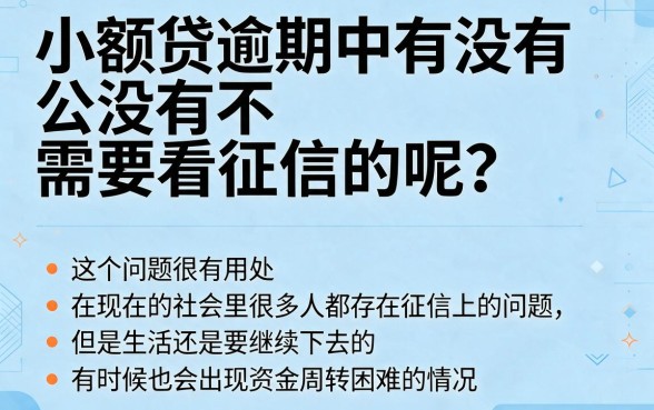 2026有逾期小额不看征信的网贷平台有哪些？这些坑千万别踩