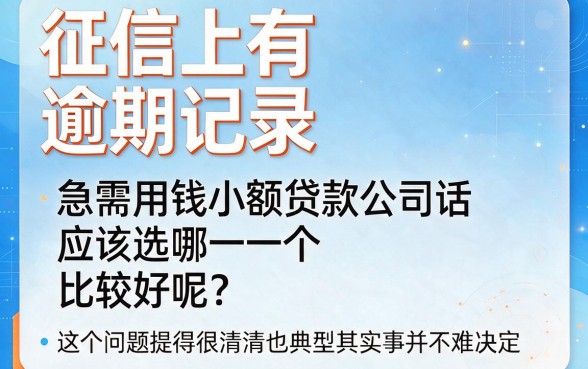 2026有逾期2026网上小额贷款平台哪个好下款？真实经验全面揭秘！