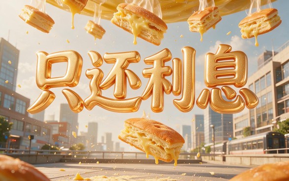 只还利息的贷款真的存在吗？2026年客观评价总结，全面解析来了！
