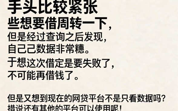 不看大数据也能分期!2026年最新5家网贷平台深度盘点