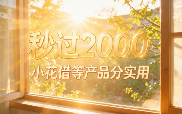 额度2000元秒批到账！盘点5个借钱超快的小贷小花借APP，2月亲测下款秘笈