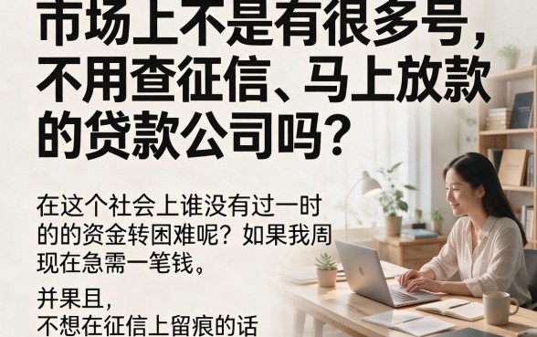 无视征信也能秒借1000！2026严选5个不看着征信秒借贷款的口子