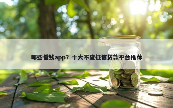 哪些借钱app？十大不查征信贷款平台推荐